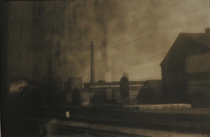 Palemonas ("Photographs")