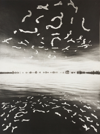 Horizon. From series "Neringa"