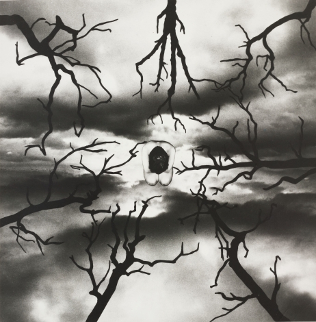Fear (Horror)
