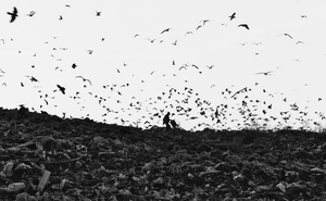 The Other World