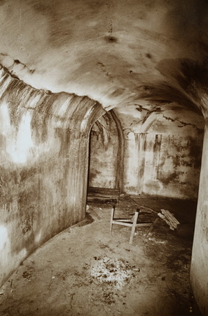 From series "Abandoned Kaunas Fortress"