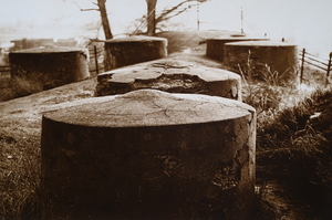 From series "Abandoned Kaunas Fortress"