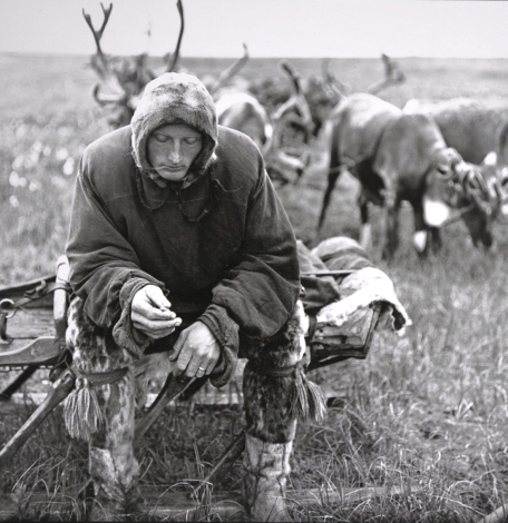 Elnių augintojas. Jugros tundra. Iš serijos „Prie Karos jūros“ 