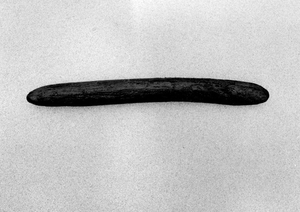 Firebrand (from cycle "Objects from the Sea")