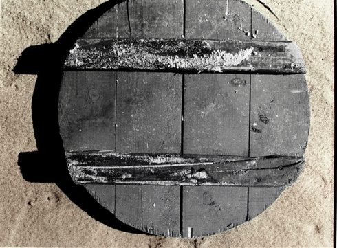 Cover (from cycle „Objects from the Sea“