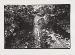 Documentacion for the action "Photo Exhibition in the Landscape"