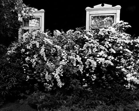 Flowering 52
