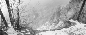 Baltoji žiema II. Pūčkoriai