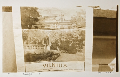 Reproduction VII