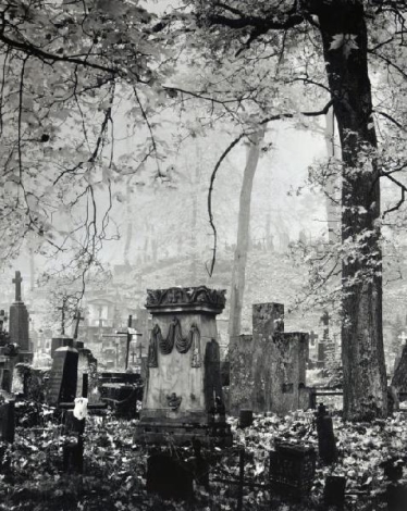 Rasų kapinės
