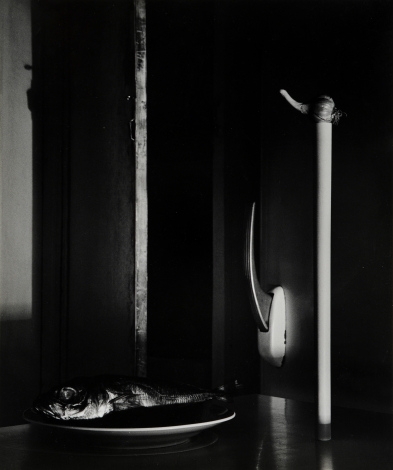 Still life with fish
