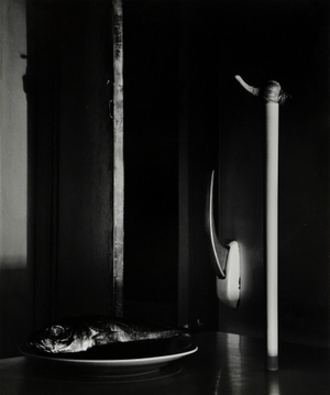 Still life with fish