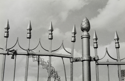 Fence