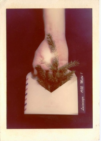 Postcard
