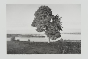 Didžiulio ežeras ankstų rytą, Trakų r. Iš ciklo „Tolių vaizdai“