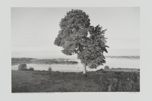A lake Didžiulis in the early morning, Trakai distr.