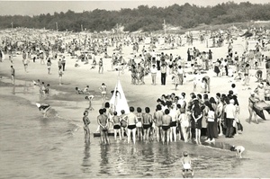 Palanga