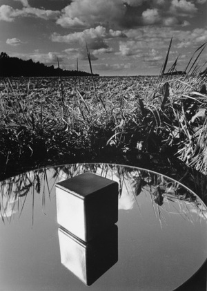 From series "Things and Shapes"