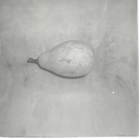 Gulintis vaisius II