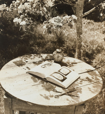 Still-life