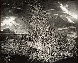 Against the Wind