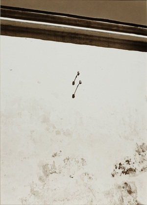 Vidudienis I