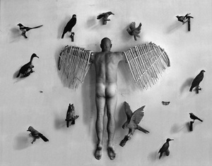 Collection of an Ornithologist
