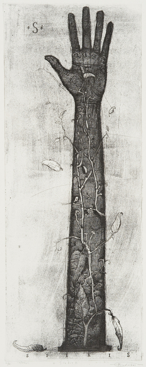 S – Siekis