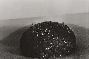 When dark thoughts comes II