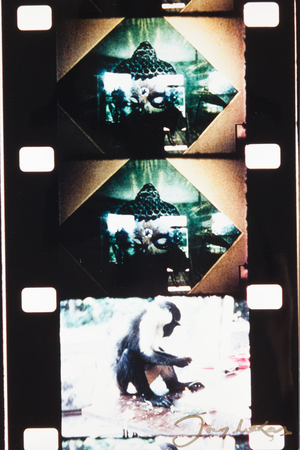 Apsilankymas pas Timothy Leary Millbruke 