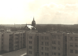 Vidiškės