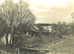 Ceikiniai