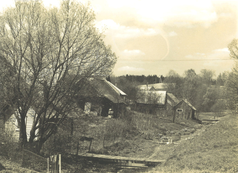Ceikiniai