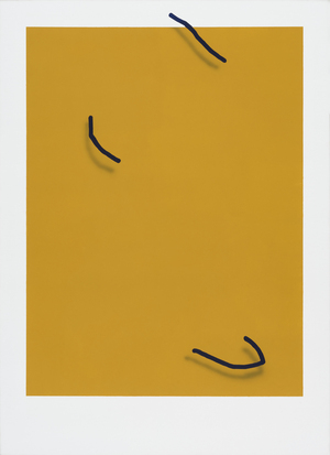 Midnight Purple Above Deep Yellow On The White