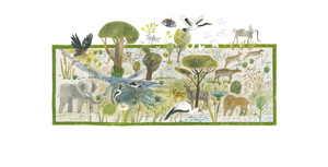 Upė – tai atgaiva (Okavango delta)