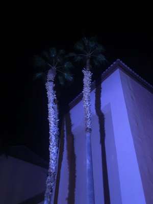 Untitled (Corner)
