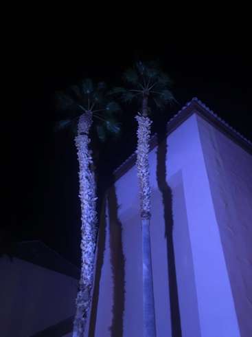 Untitled (Corner)