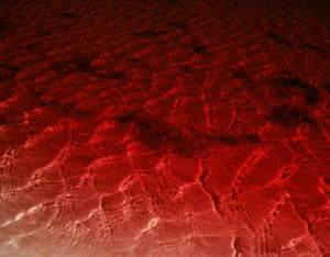 Untitled (Red Pool)